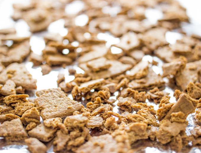 Milk chocolate frosted graham cracker cake